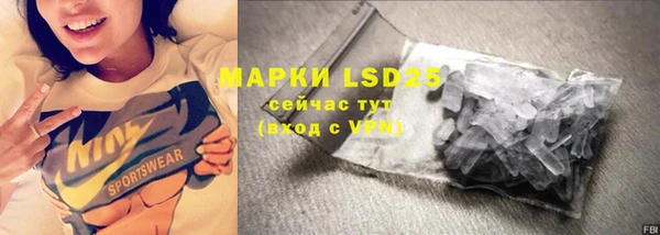 прущие грибы Арсеньев