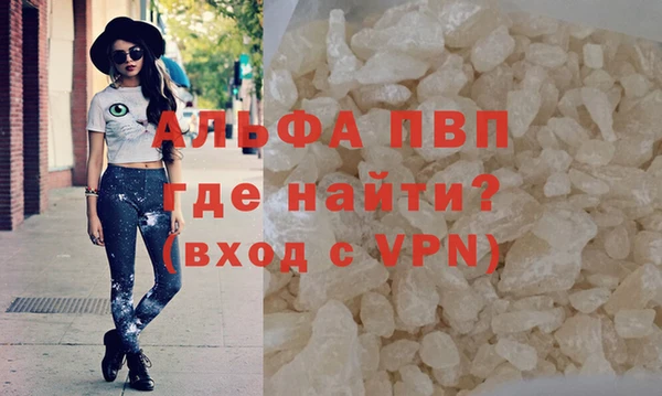 сатива Балахна